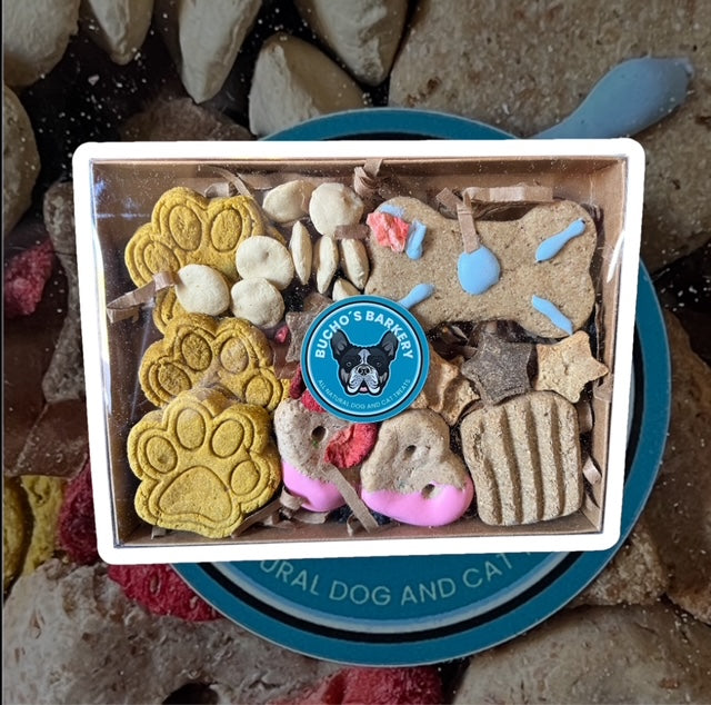 bark box - barkuterie treat box