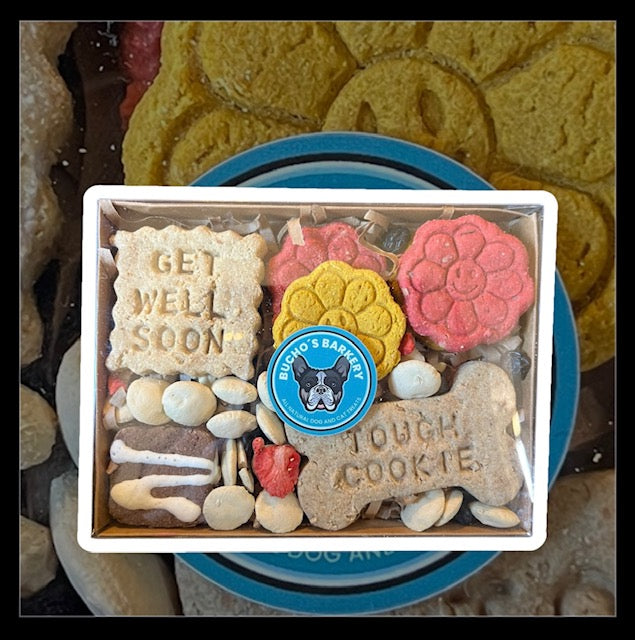 bark box - get well treat box