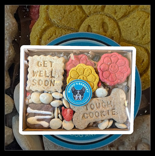 bark box - get well treat box
