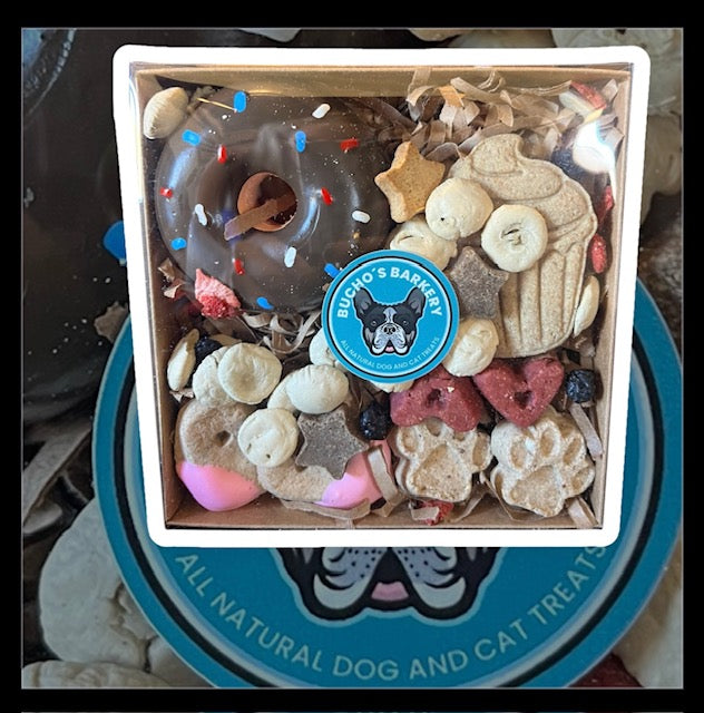 bark box - donut treat box
