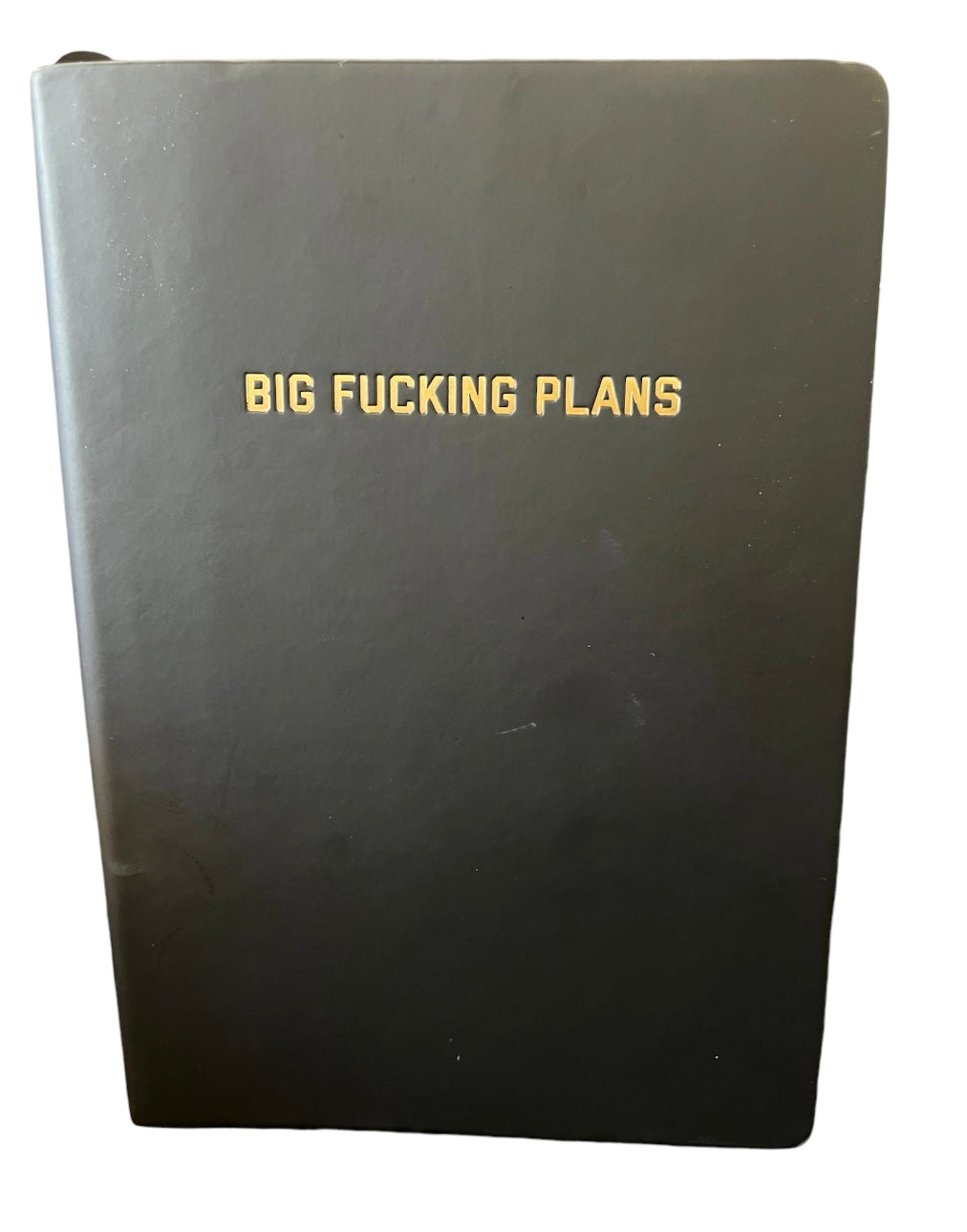 journal - big fucking plans